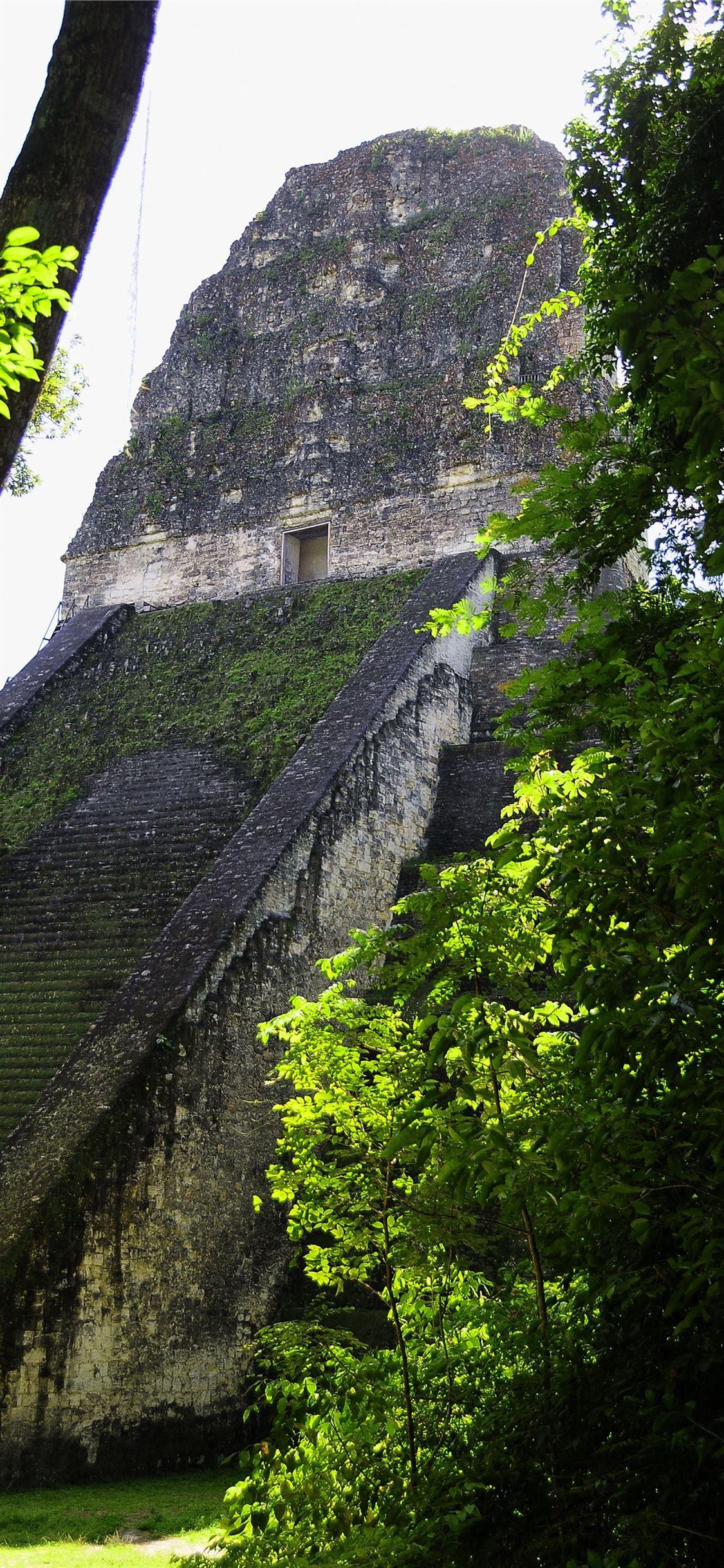 1125x2436 Tikal iPhone X Wallpaper Free Download