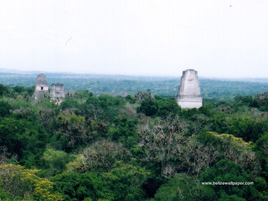 1024x768 Tikal Wallpaper. Tikal the Echidna Wallpaper, Tikal Wallpaper and Tikal Sonic Adventure Wallpaper