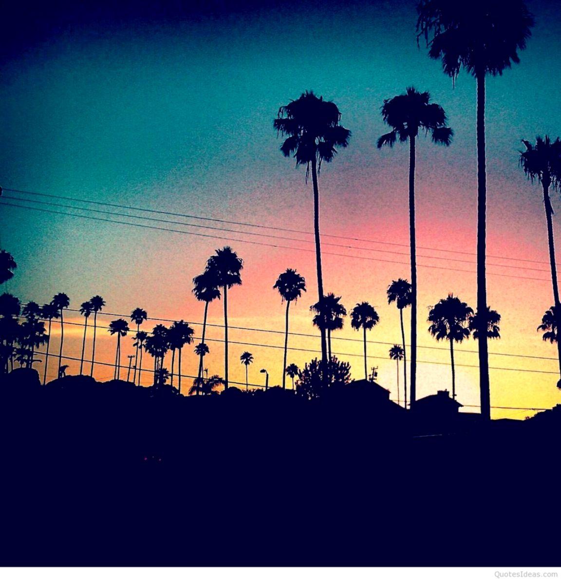 1152x1189 Summer Night Wallpaper