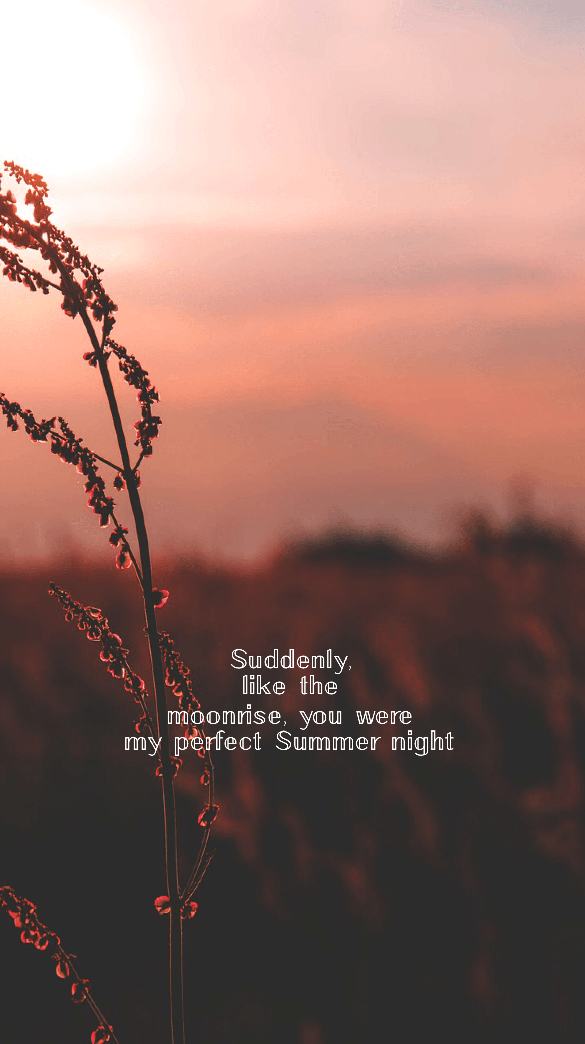 1148x2048 Summer Evening Wallpaper