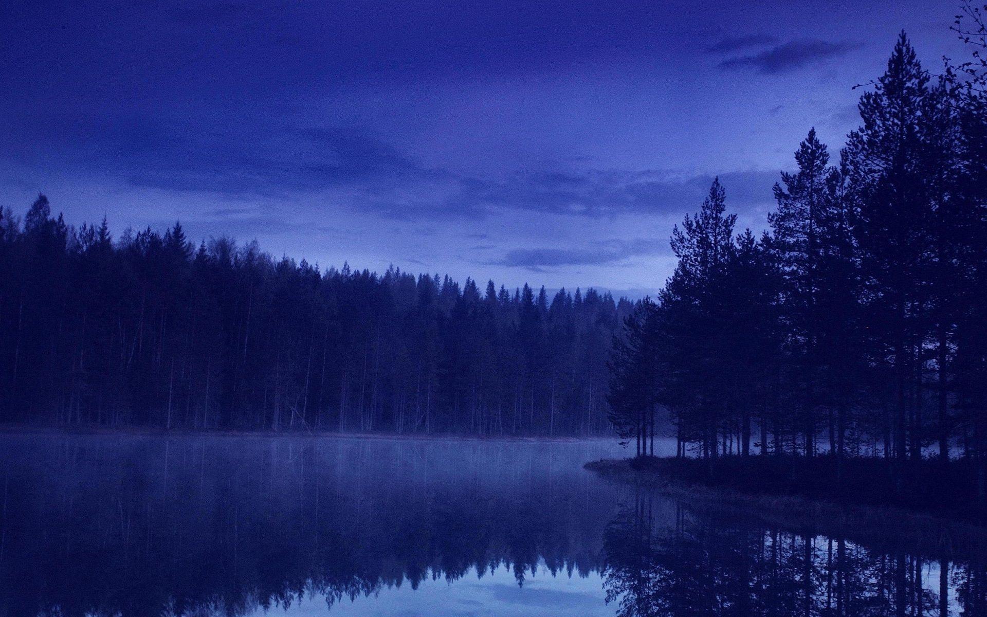 Evening Forest Wallpapers Top Free Evening Forest Backgrounds