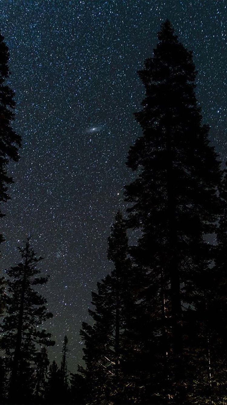 750x1334 iPhone7 wallpaper. space sky night star nature