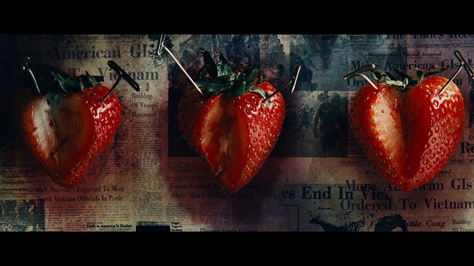 1920x1080 Across The Universe Blu Ray Rachel Wood