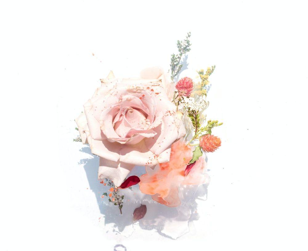 1000x816 Minimal Pink Picture. Download Free Image