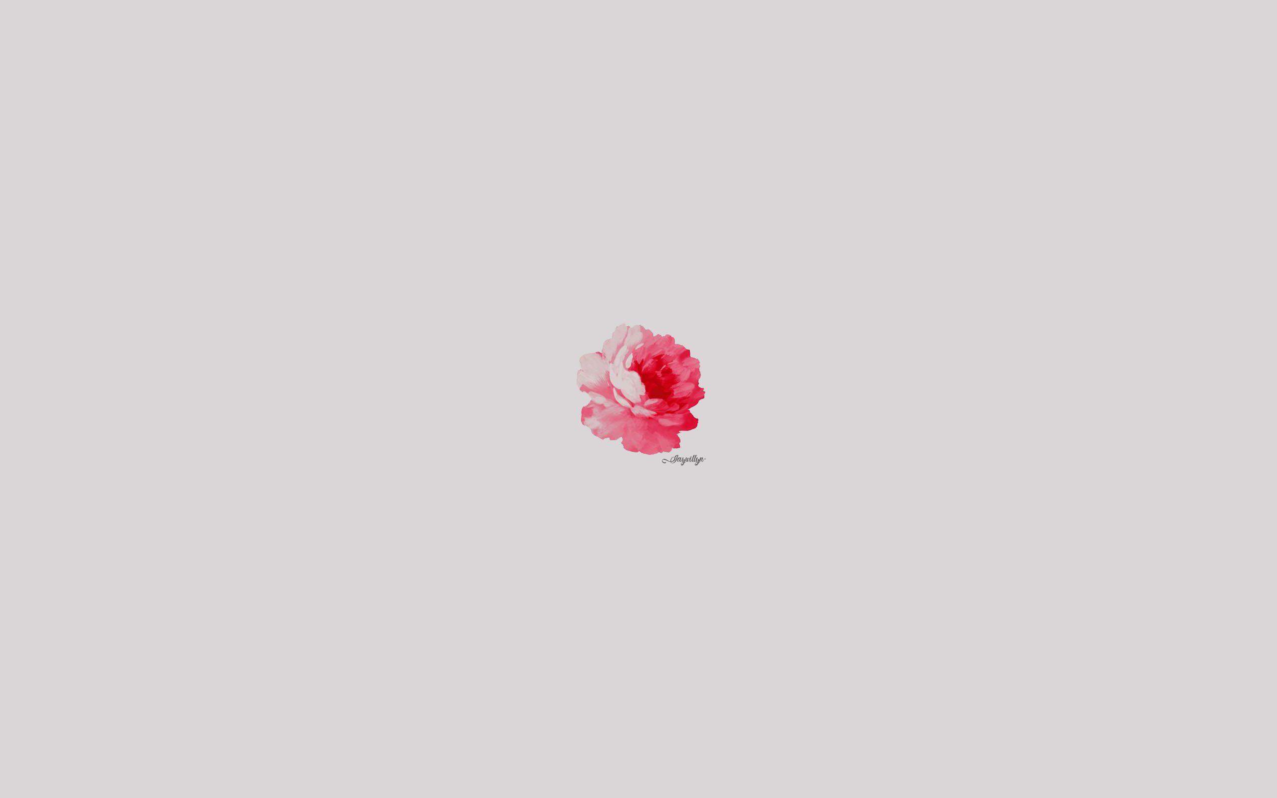 2560x1600 Rose Minimalist Desktop Wallpaper. Minimalist desktop wallpaper, Background desktop, Cute background