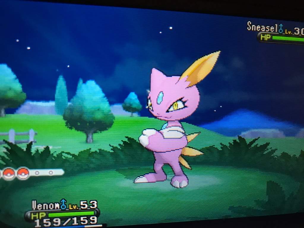 1024x768 Shiny Sneasel! :p. Shiny Pokemon Amino Amino