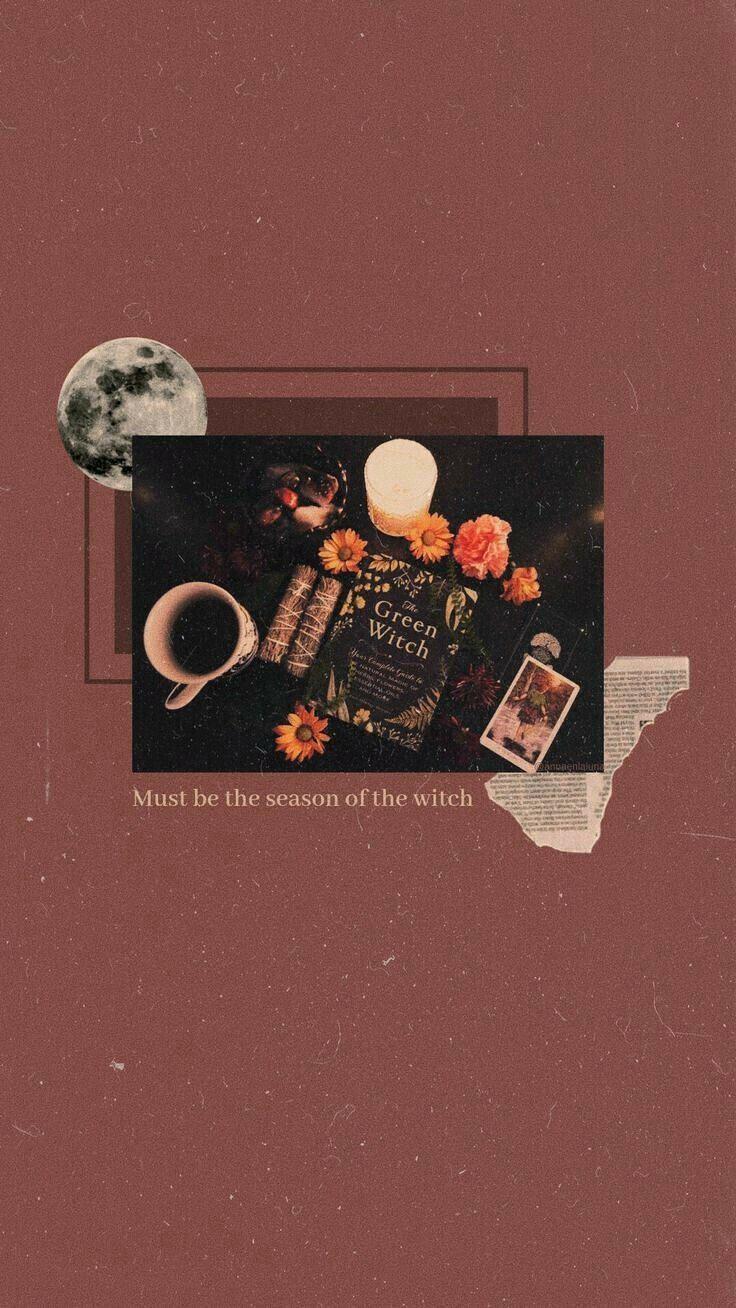 736x1308 Wallpaper, Imagens e Fundos de Aruom. Aesthetic iphone wallpaper, Witch wallpaper, October wallpaper