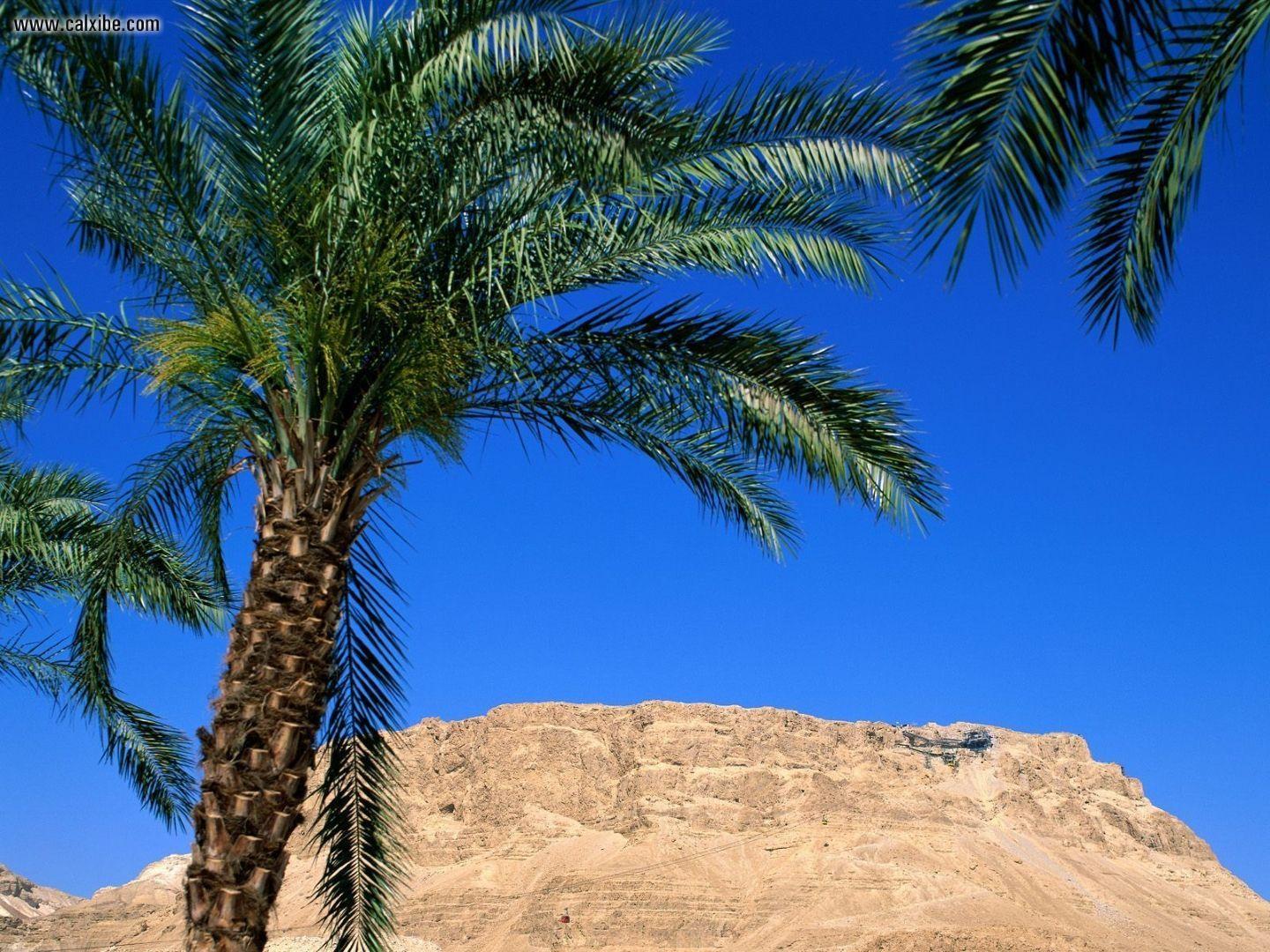 1440x1080 Nature: Cable Cars Masada Israel, picture nr. 17120
