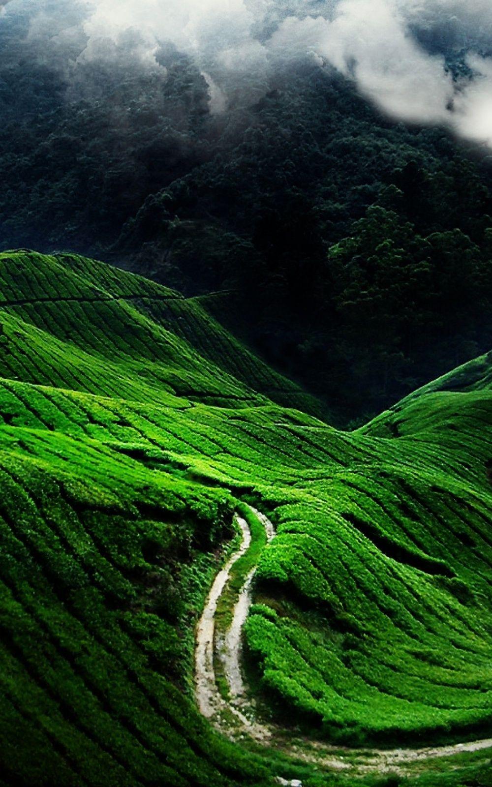 1000x1600 Green Mountains Mobile Wallpaper