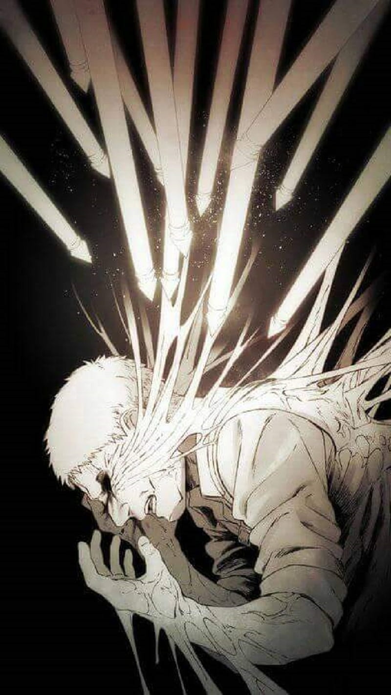 800x1422 Reiner Braun, armored titan, shingeki no kiojin, HD phone wallpaper