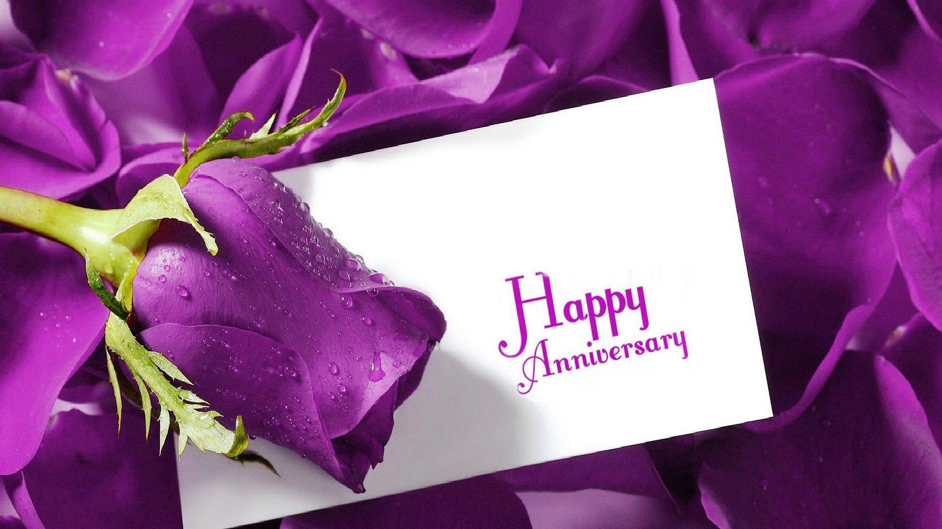1920x1080 Purple Background Wallpaper Marriage Background HD