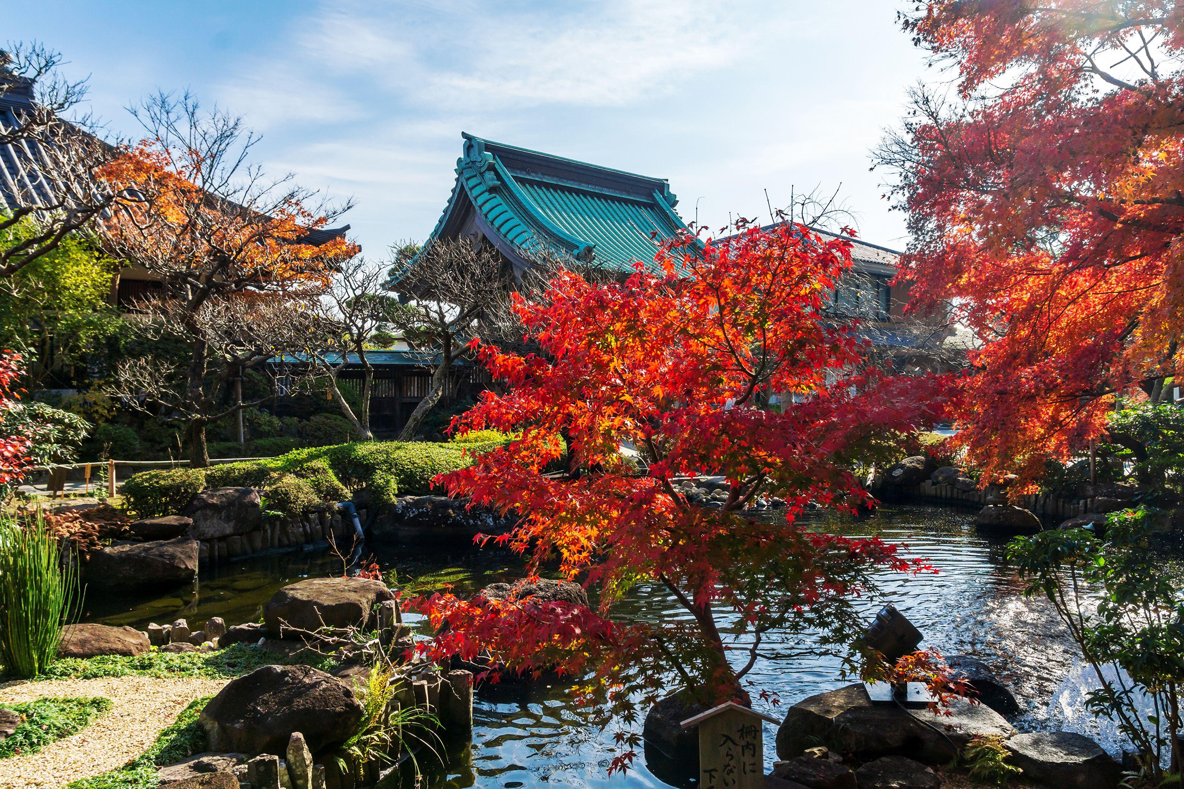 3840x2560 image Japan Kamakura Autumn Pond temple Trees Cities 3840x2561
