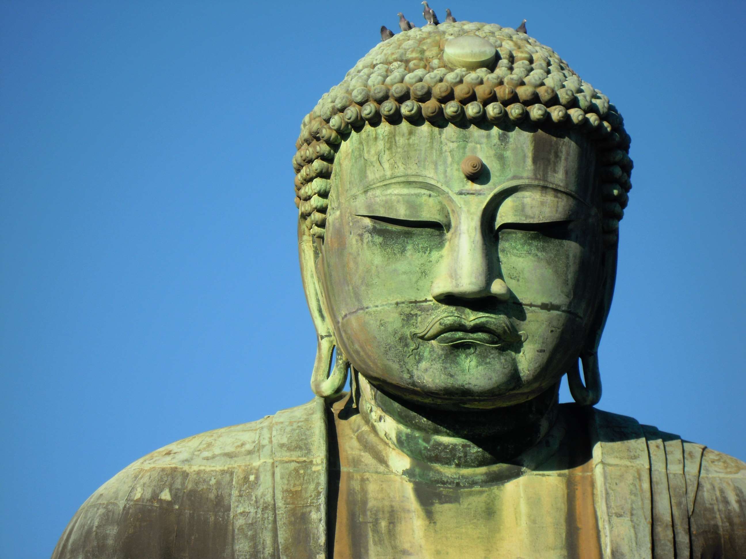 2592x1944 big buddha, blue sky, great buddha of kamakura, kamakura wallpaper