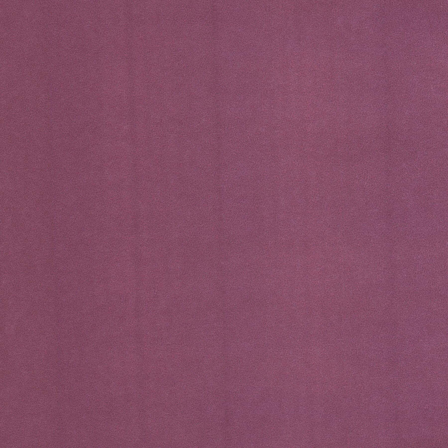1800x1800 Purple Solid Color Wallpaper You'll Love in 2021