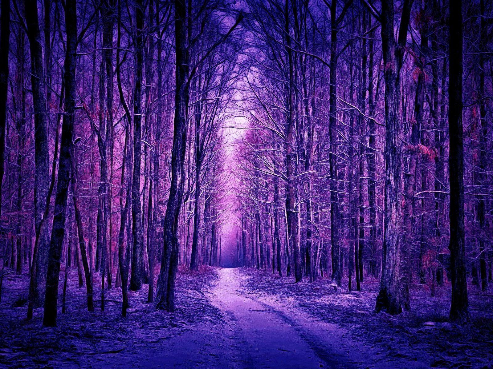 1600x1200 Wallpaper Winter, forest, snow, purple style, art 1920x1200 HD Picture, Image