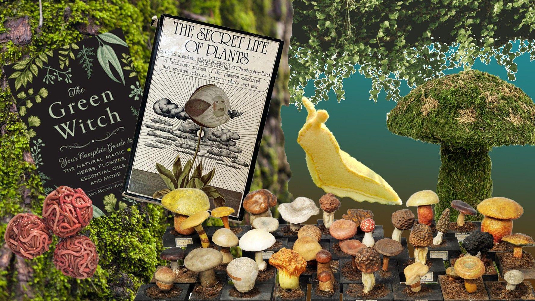 Goblincore Wallpapers - Top Free Goblincore Backgrounds - WallpaperAccess