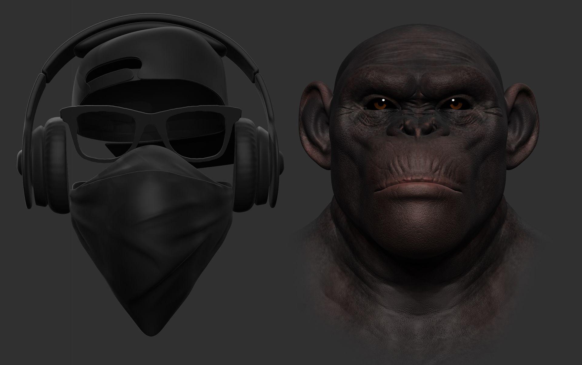 1920x1204 Wise Swag
