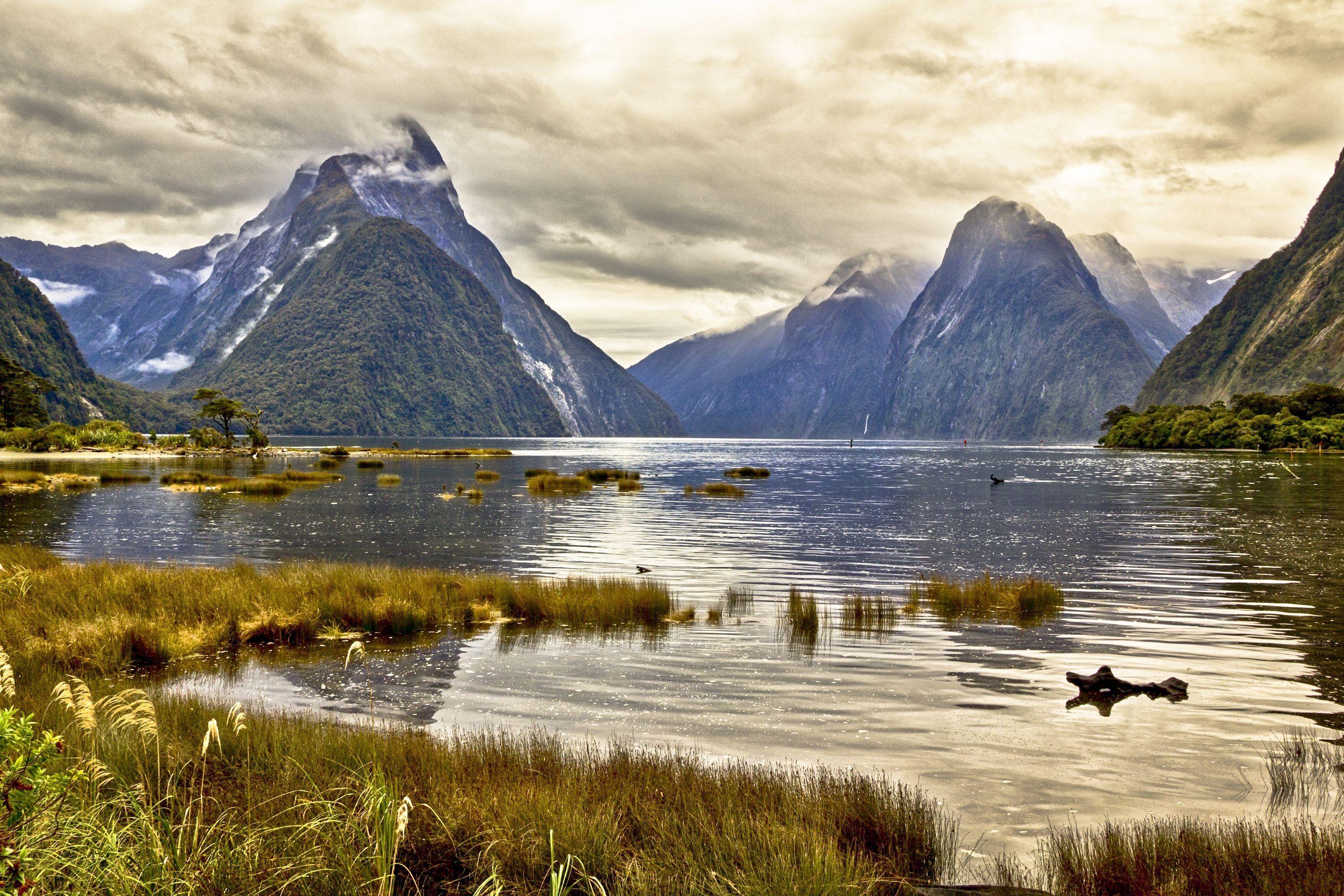 3000x2000 milford, Sound, New, Zealand, Pond, Mountain, Landscape Wallpaper HD / Desktop and Mobile Background