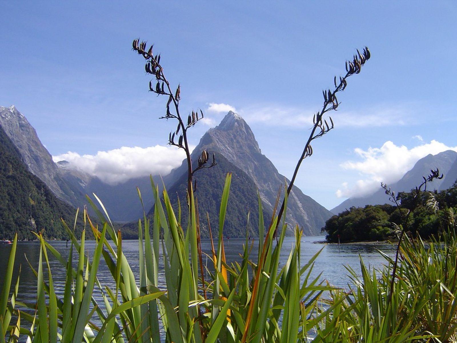 1600x1200 Milford Sound Wallpaper