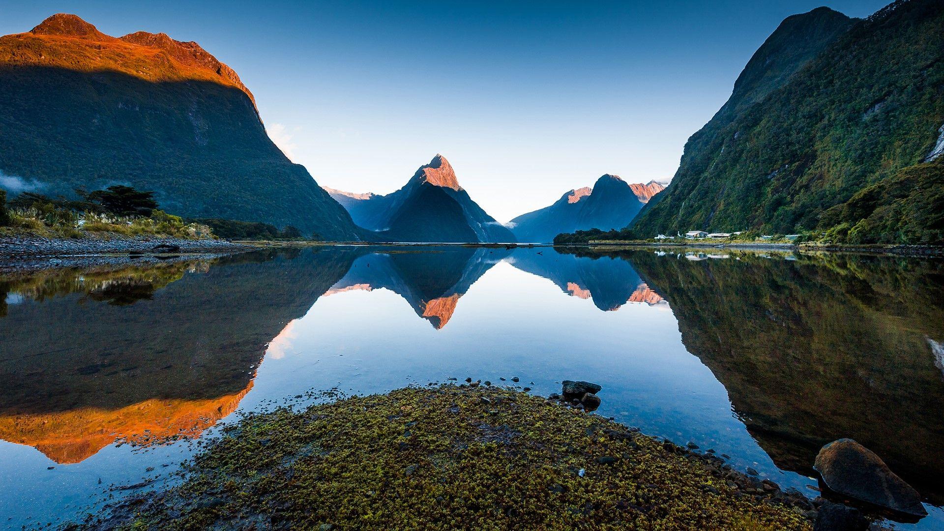 Milford Sound New Zealand Bing Wallpaper