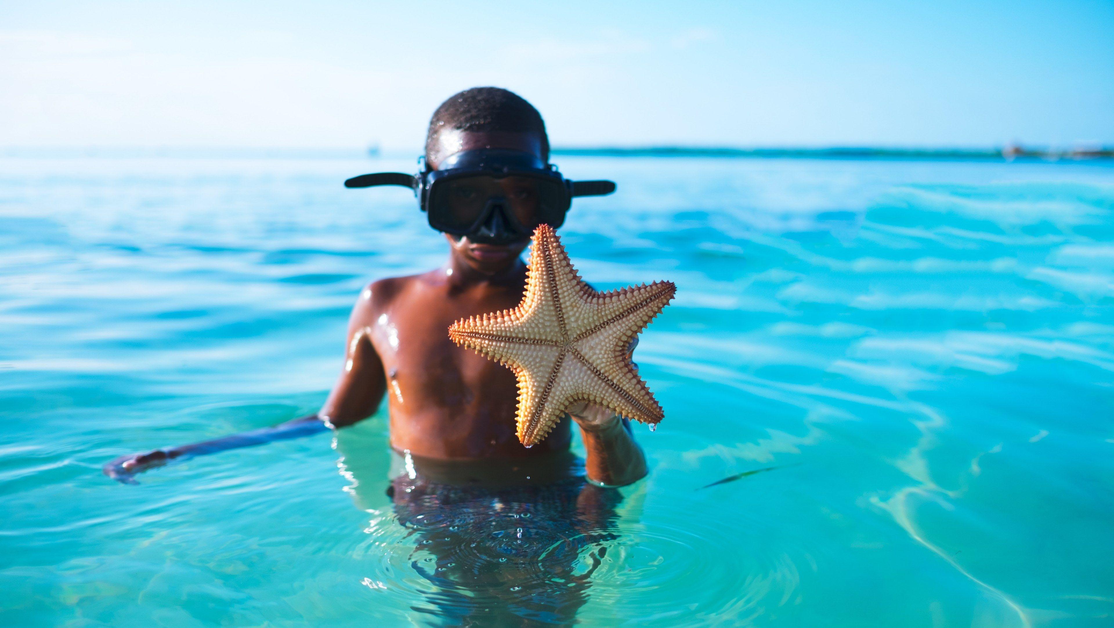 3840x2165 Wallpaper / snorkeling in the caribbean 4k wallpaper