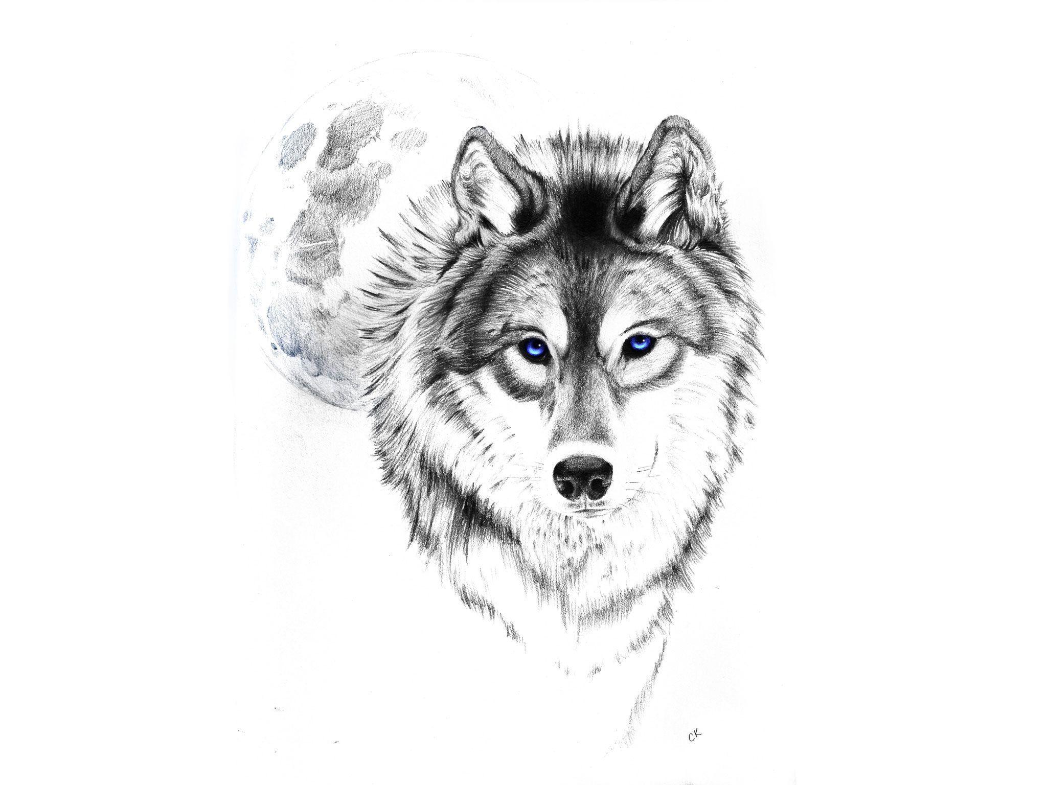 Wolf Tattoo Wallpapers - Top Free Wolf Tattoo Backgrounds - WallpaperAccess