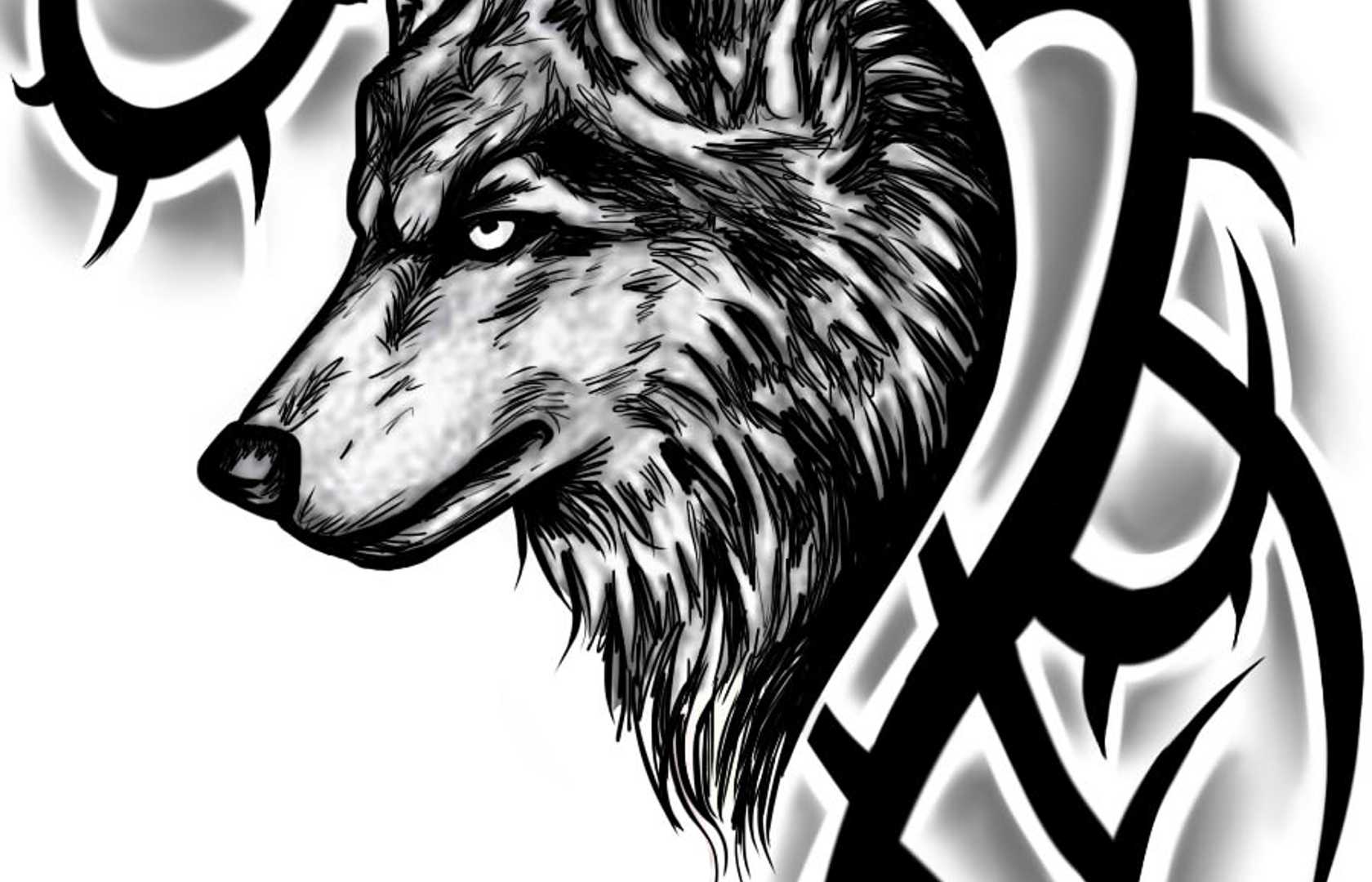1680x1080 Tribal Animal Tattoo Art Designs Wallpaper Wid Tattoo Art Design HD Wallpaper