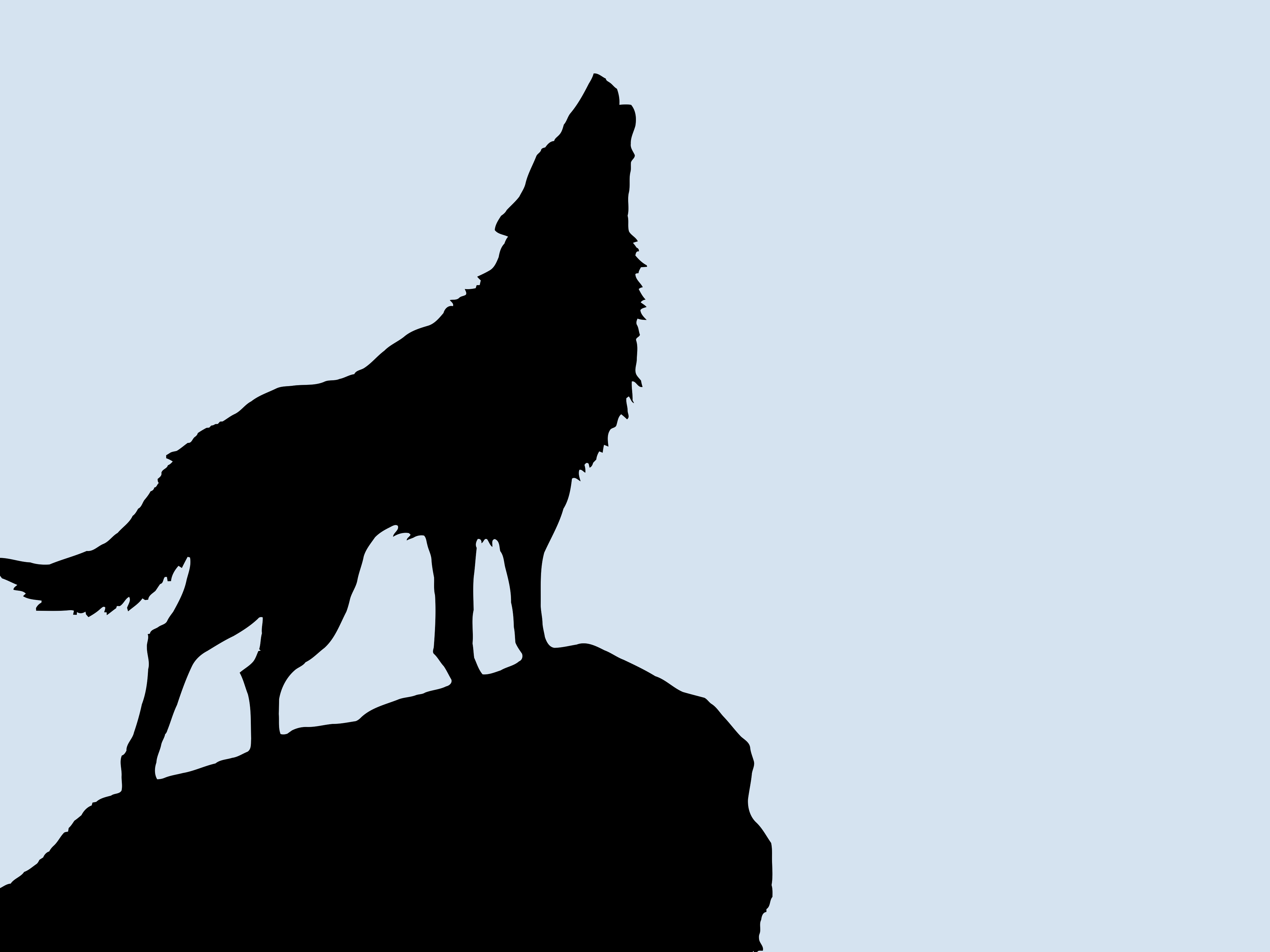 4096x3072 Free Wolf Tattoo Silhouette, Download Free Clip Art, Free Clip Art on Clipart Library