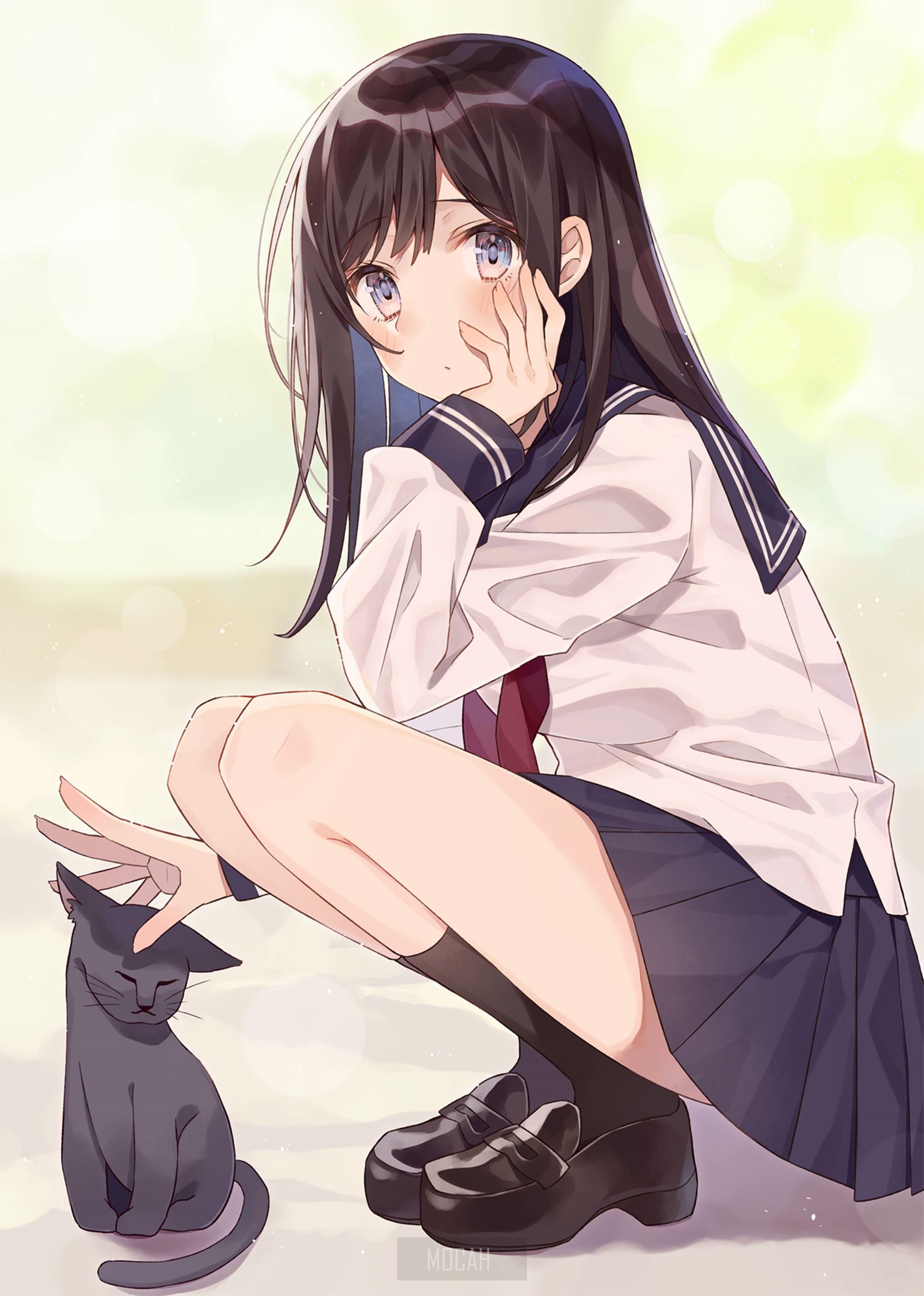 2138x3000 anime, anime girl, blue eyes, black hair, cats, original character, school uniform, sailor uniform, black socks wallpaper 1080p, 2138x3000. Mocah HD Wallpaper