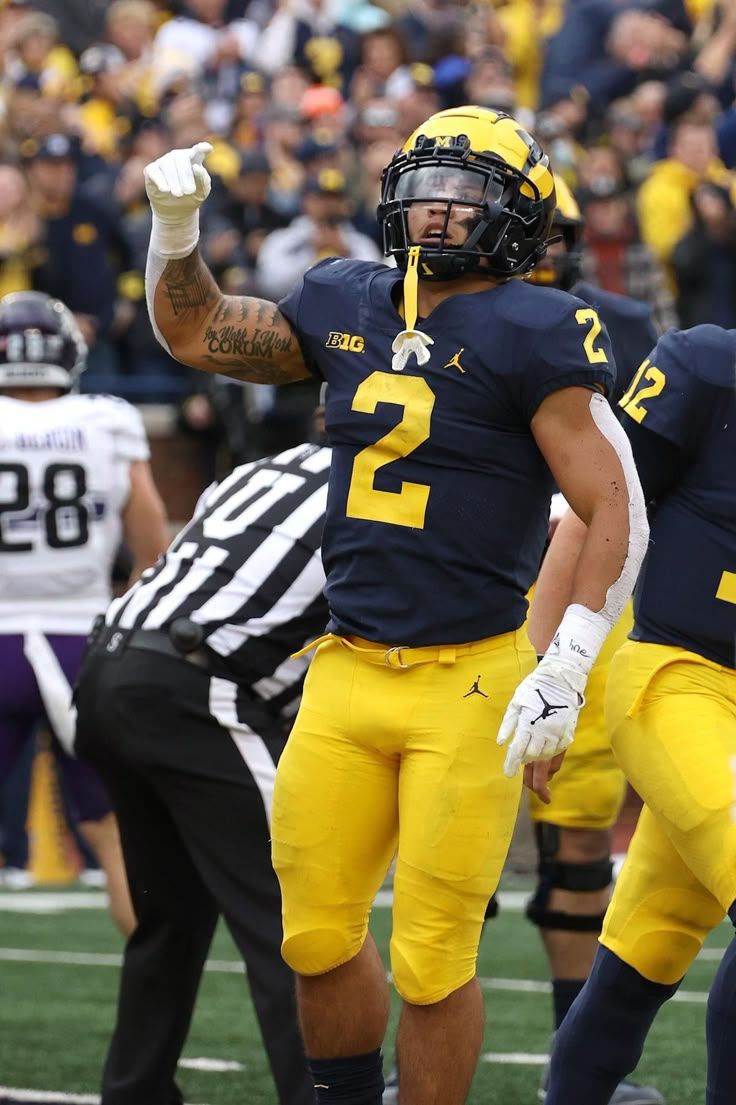 736x1105 Blake corum wallpaper. Michigan wolverines pfp, Football players, Football bros