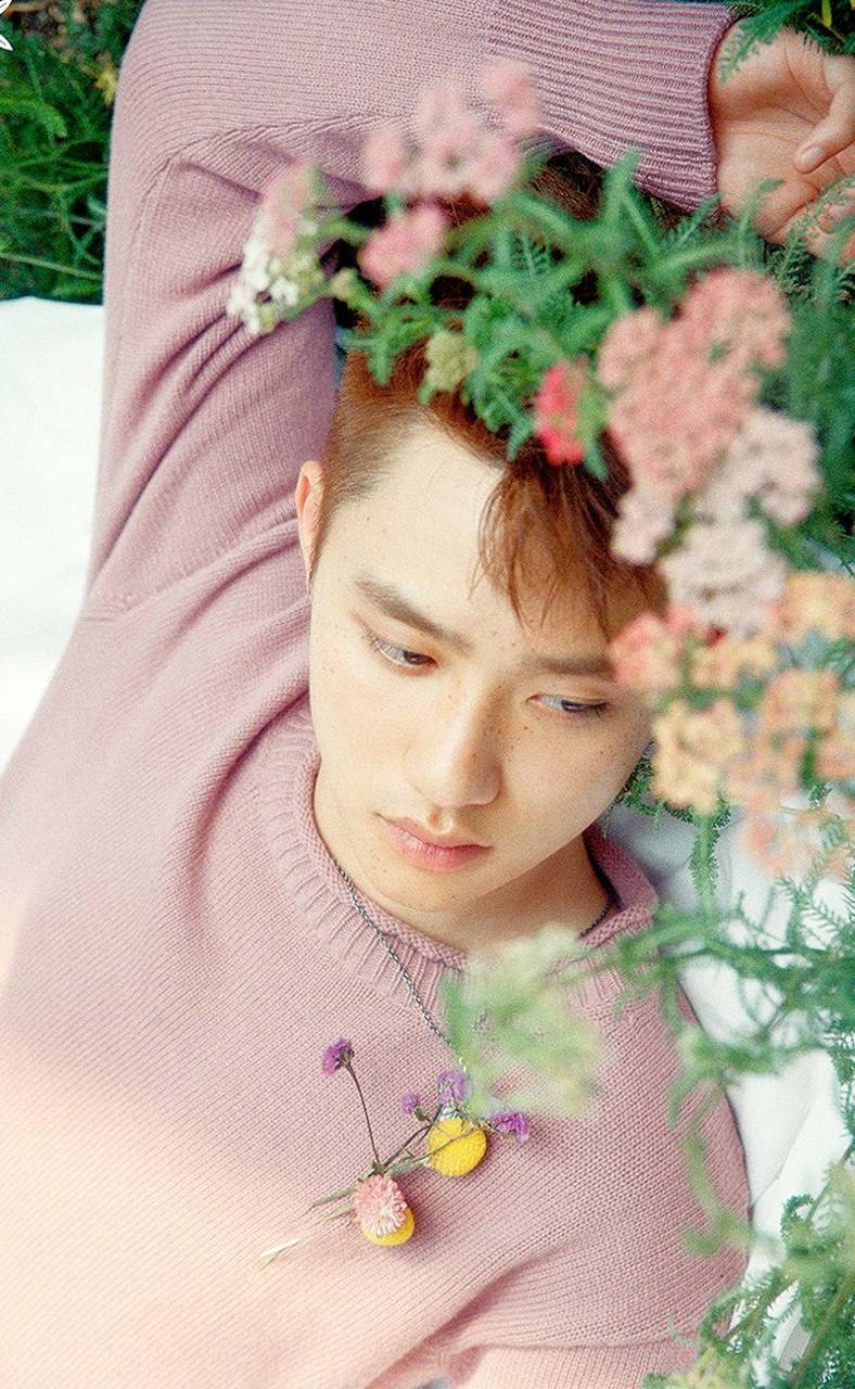 788x1280 Do Kyungsoo wallpaper