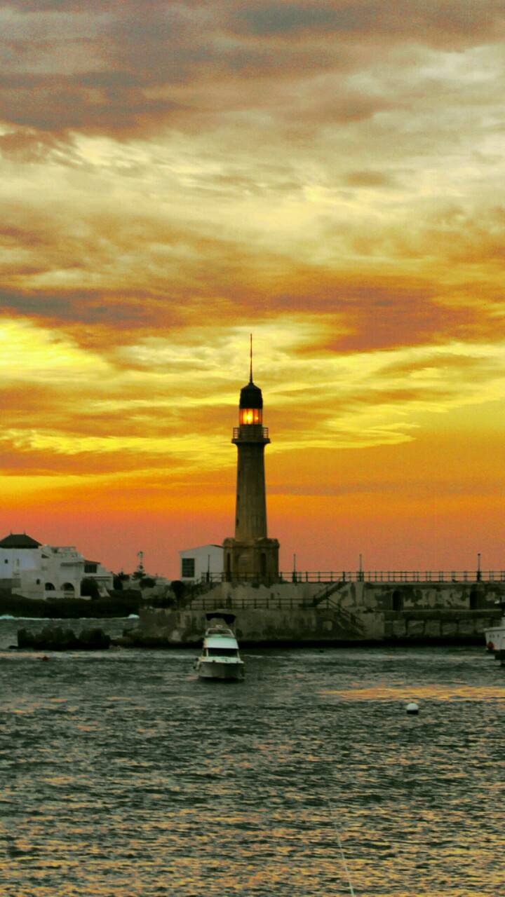 720x1280 Alexandria wallpaper