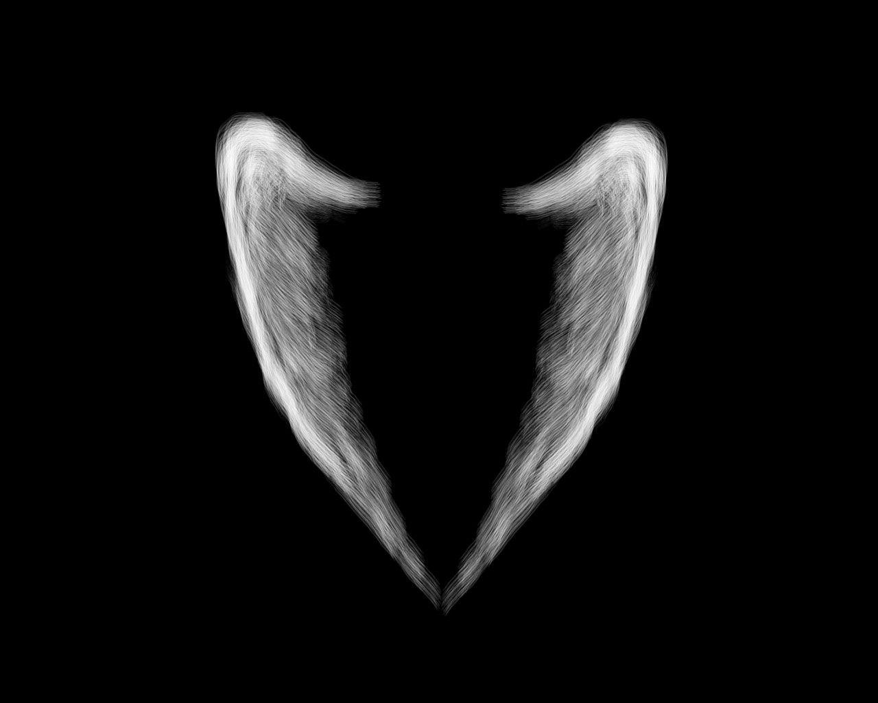1280x1024 Free download Angel Wing Wallpaper Top HD Angel Wing Image LE HQ [1280x1024] for your Desktop, Mobile & Tablet. Explore Angel Wings Wallpaper. Angel Wallpaper Free, Beautiful Angels Wallpaper