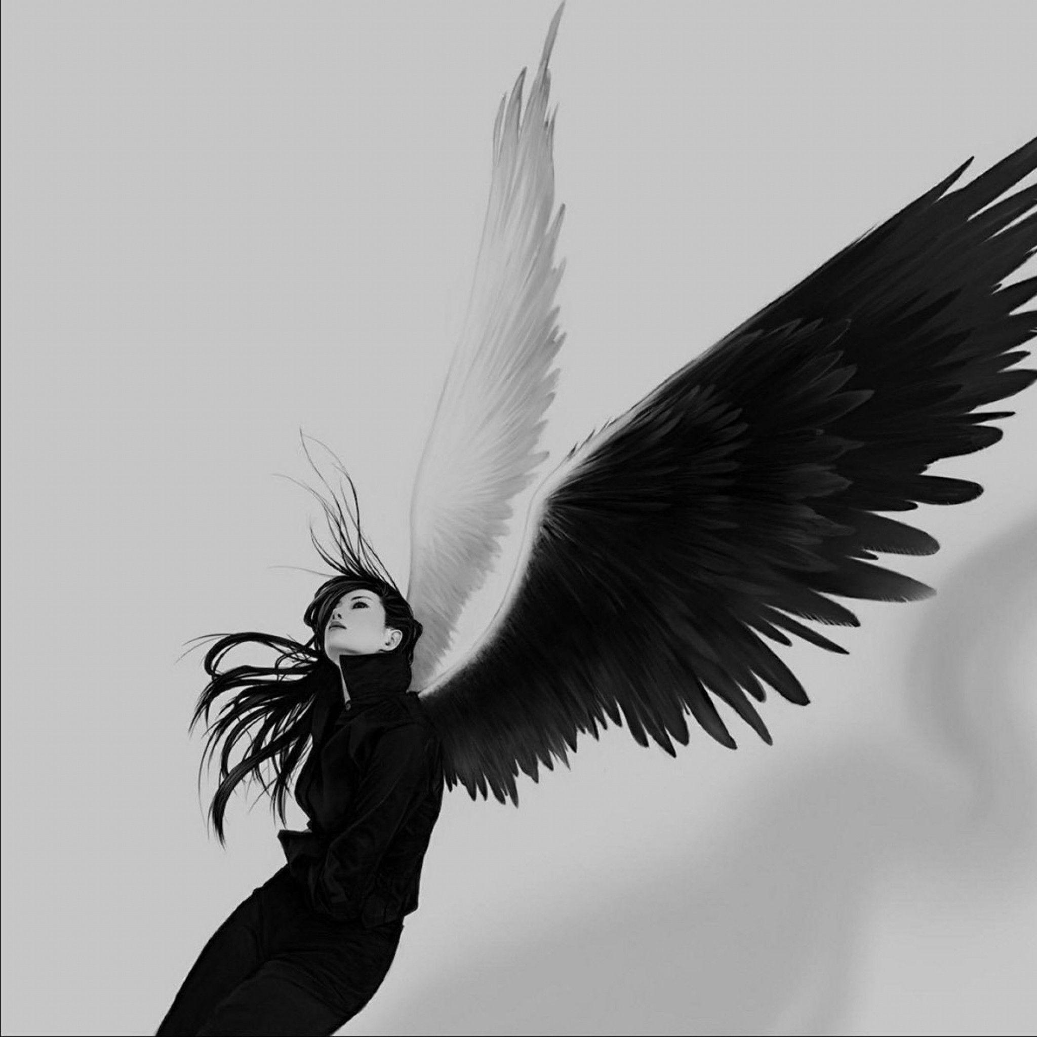 2048x2048 Angel Wing Background