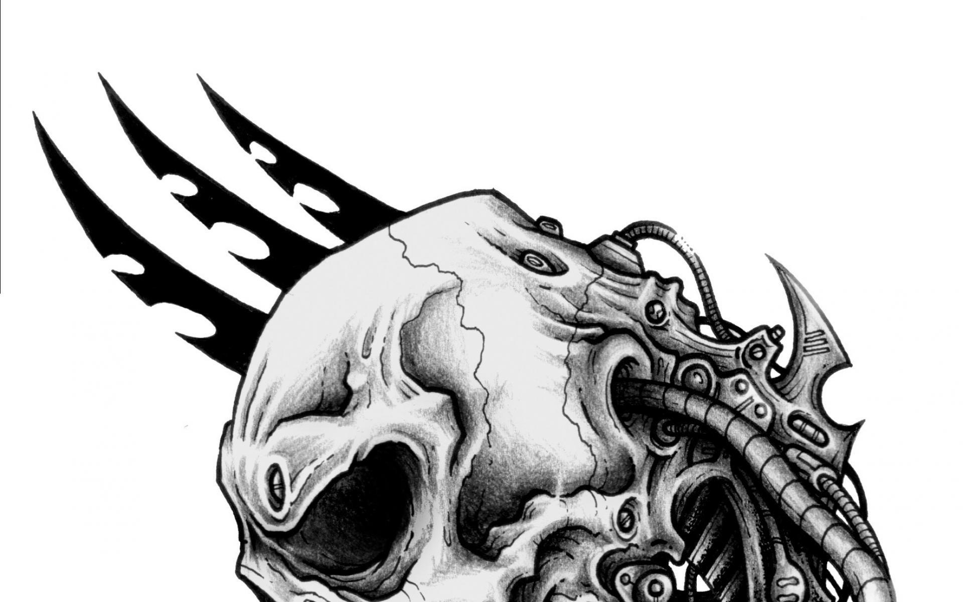 1920x1200 Skull Punk Wallpaper