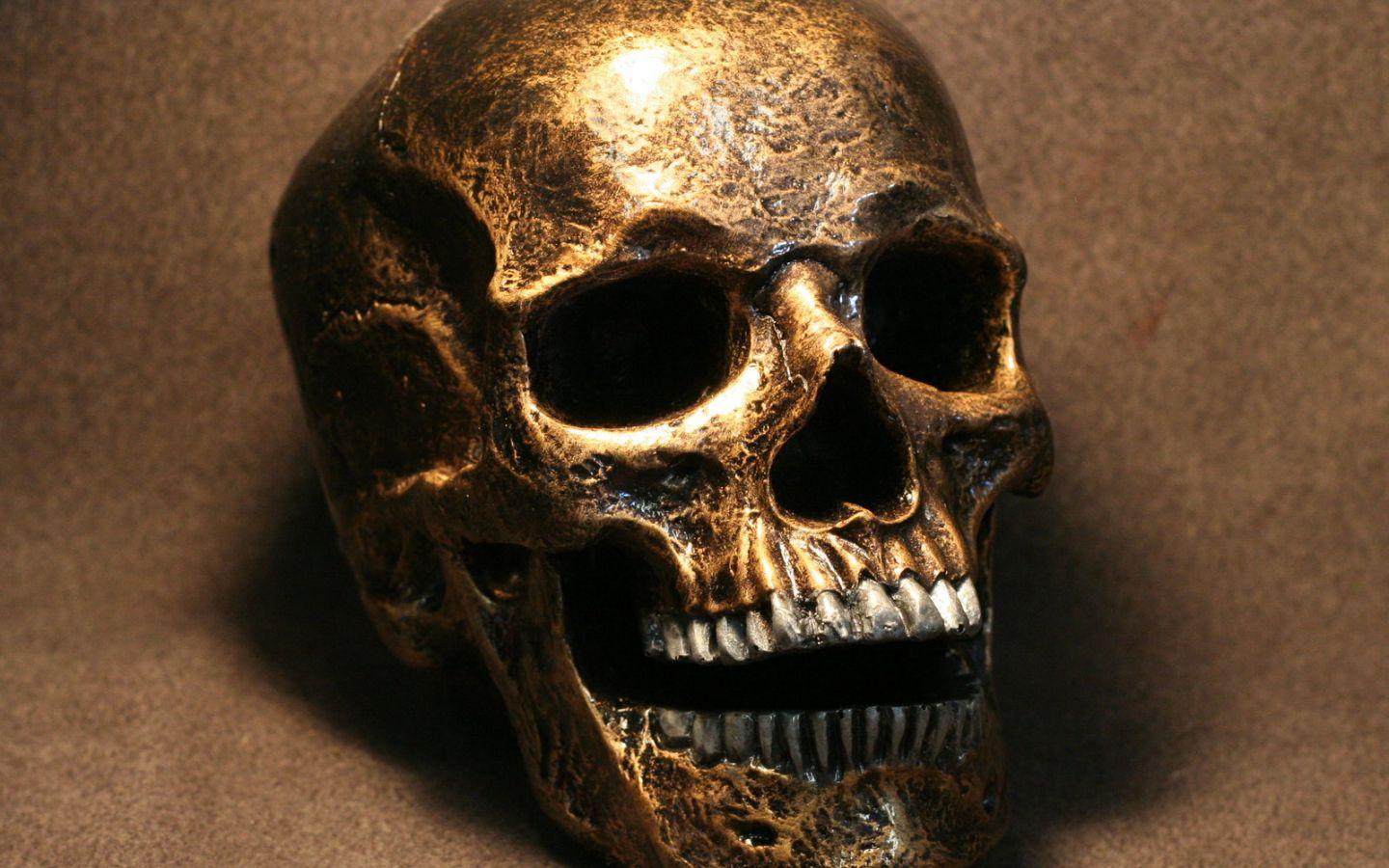 1440x900 Free download Steampunk Skull WIP by JohnsonArmsProps [1600x1253] for your Desktop, Mobile & Tablet. Explore Punk Skull Wallpaper. Skull Wallpaper Apps, Skull Wallpaper Free Download