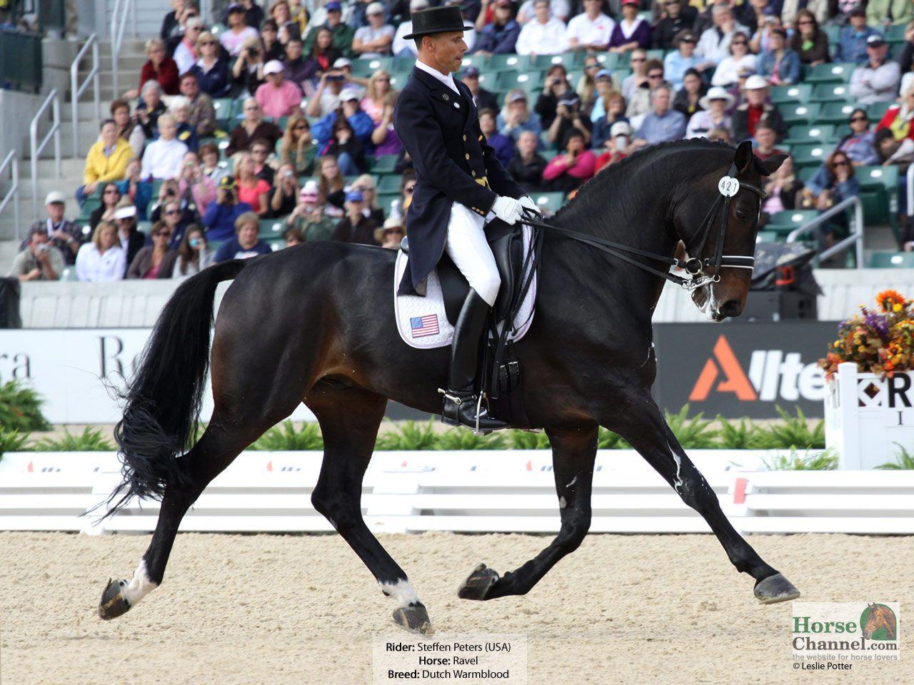 1280x960 Warmbloods of the World Equestrian Games Desktop Wallpaper