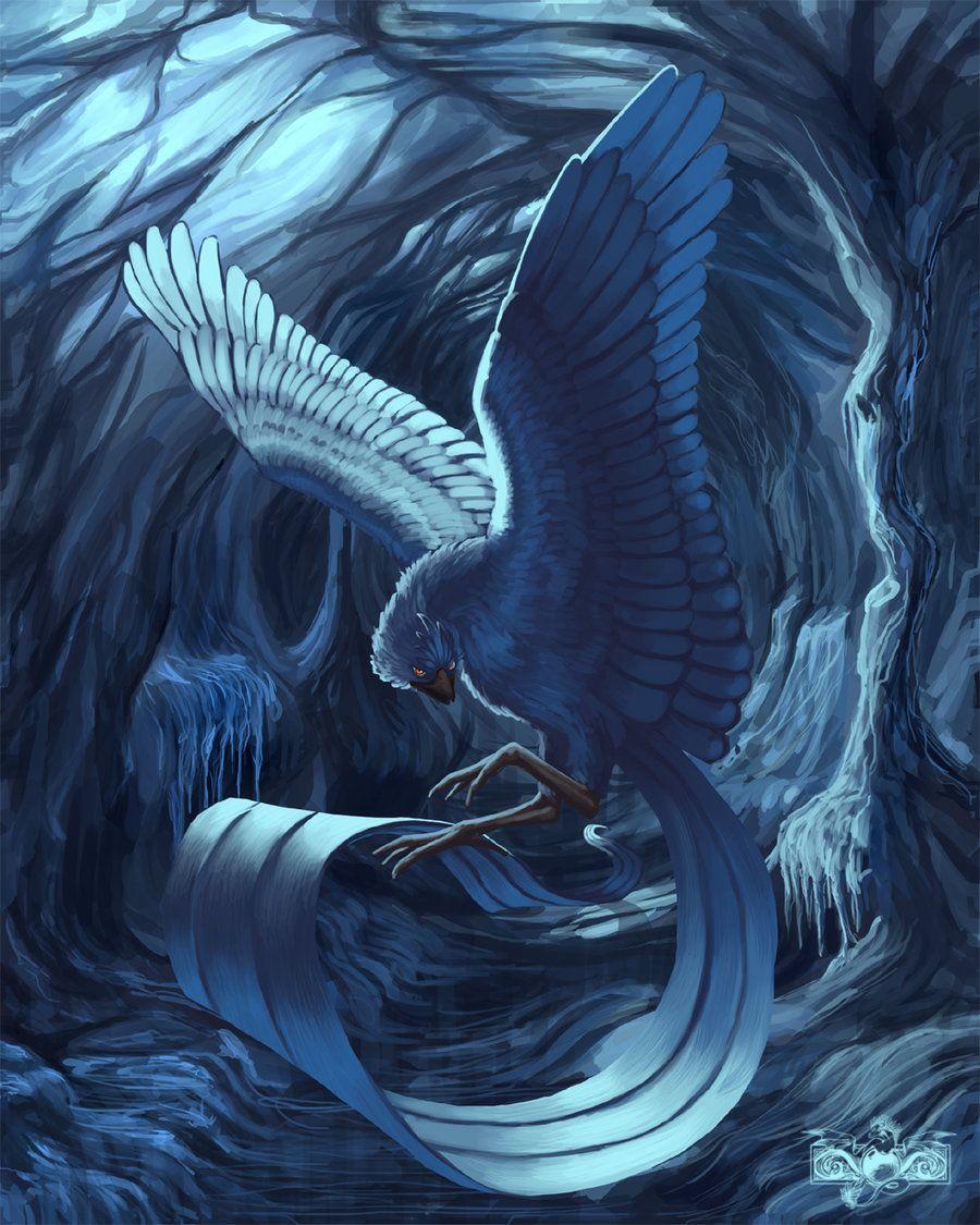 900x1125 Articuno Pokemon HD Wallpaper