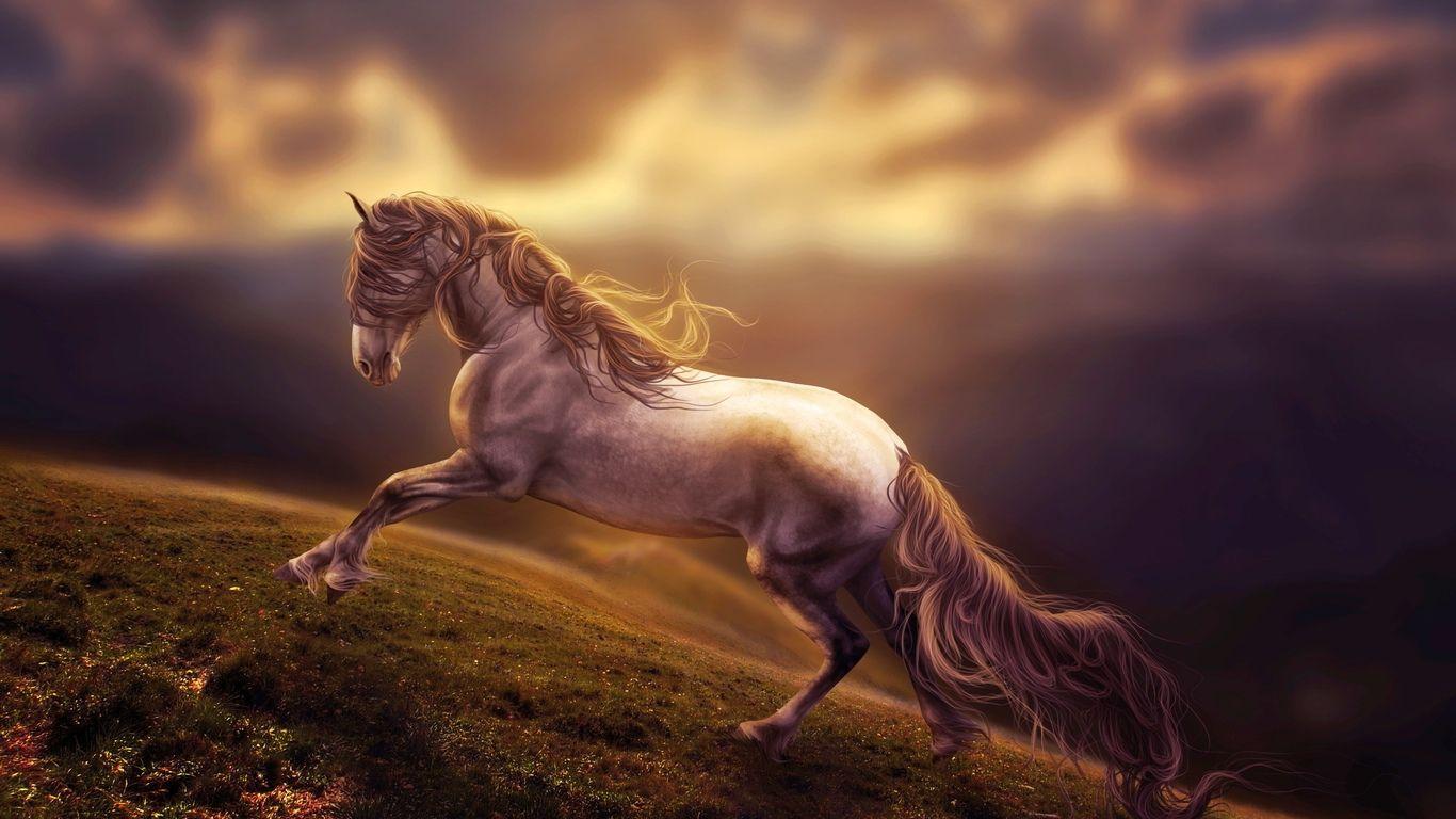 1366x768 Horse Wallpaper 1366X768 .