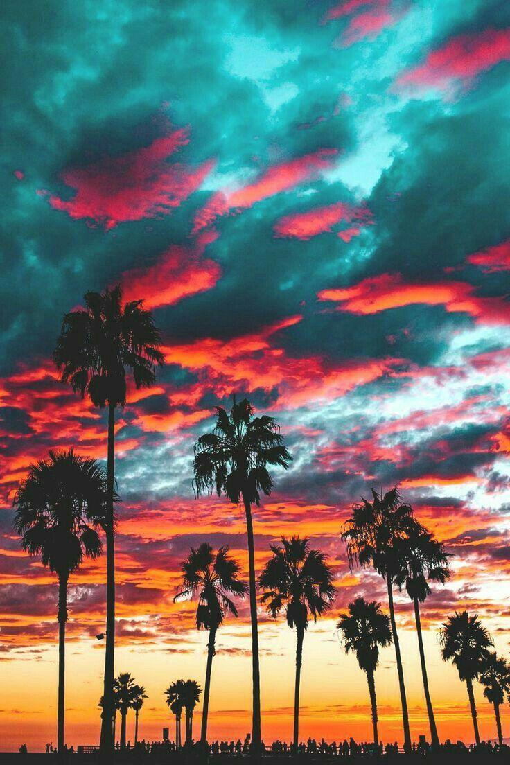736x1104 California Highway Patrol. Nature photography, Aesthetic wallpaper, Nature