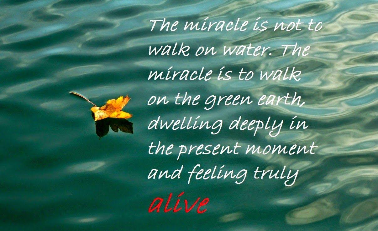 1206x739 Nature Wallpaper With Motivational Quotes