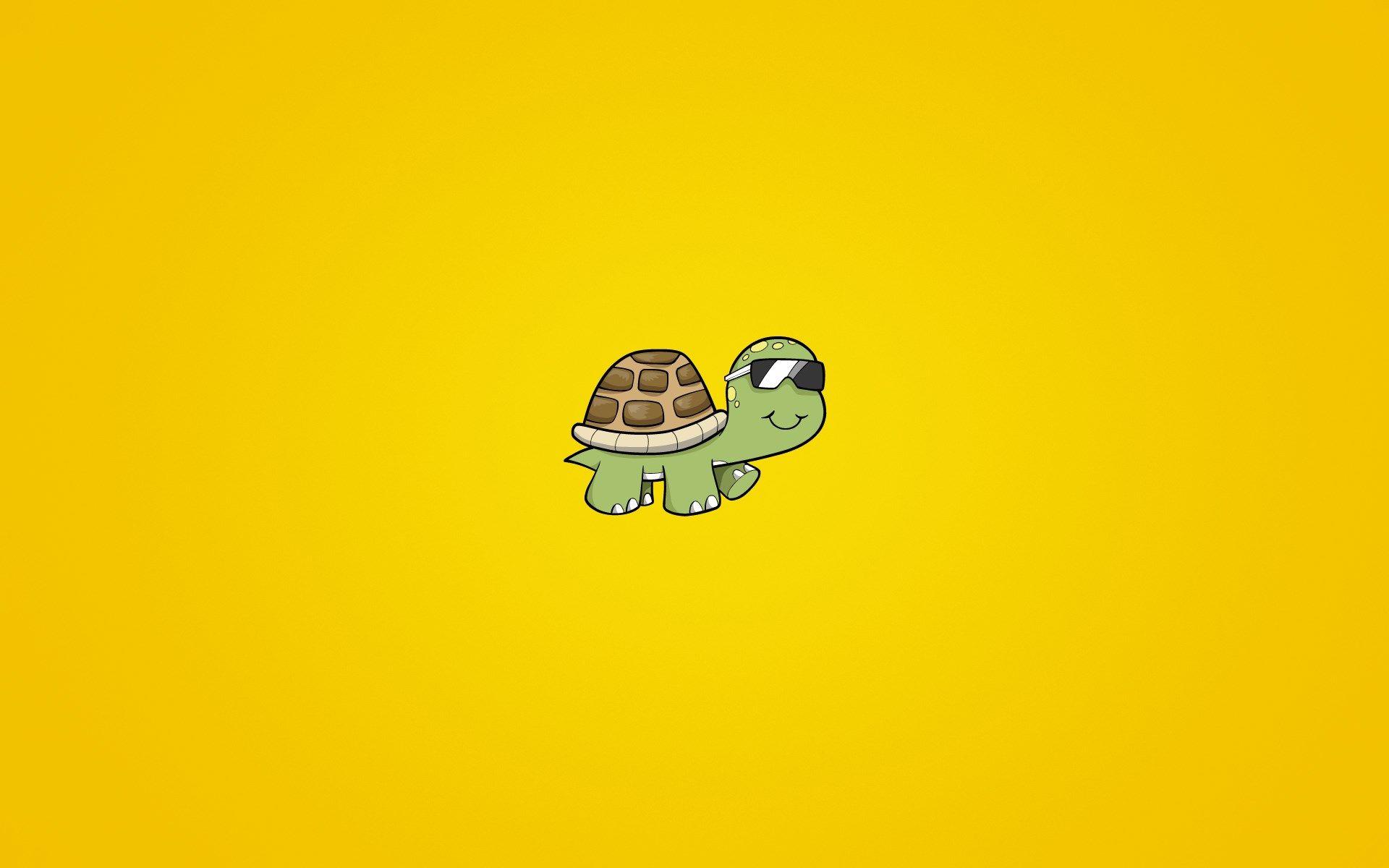 1920x1200 Turtle Sunglasses Art