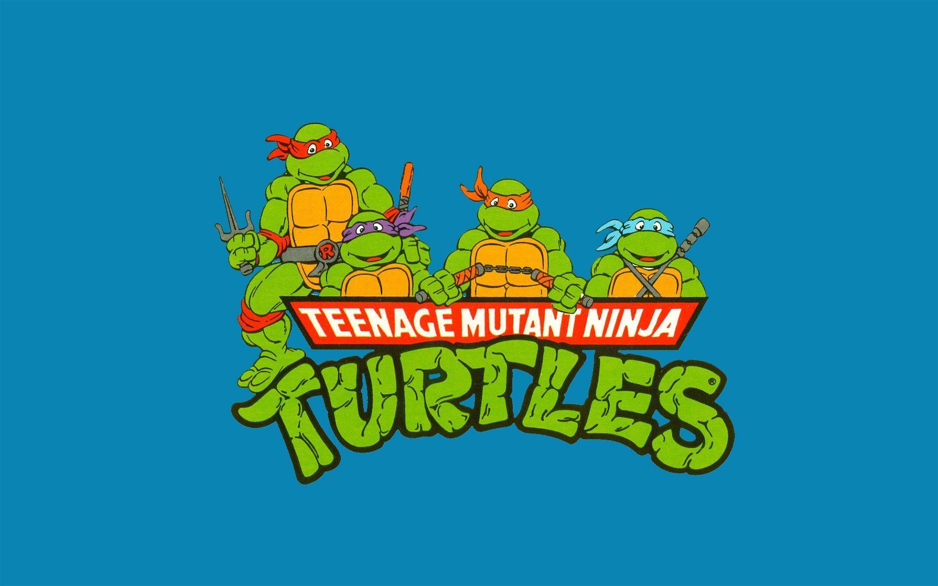 Cartoon tortugas ninjas wallpaper, 2560x1440, 1403905