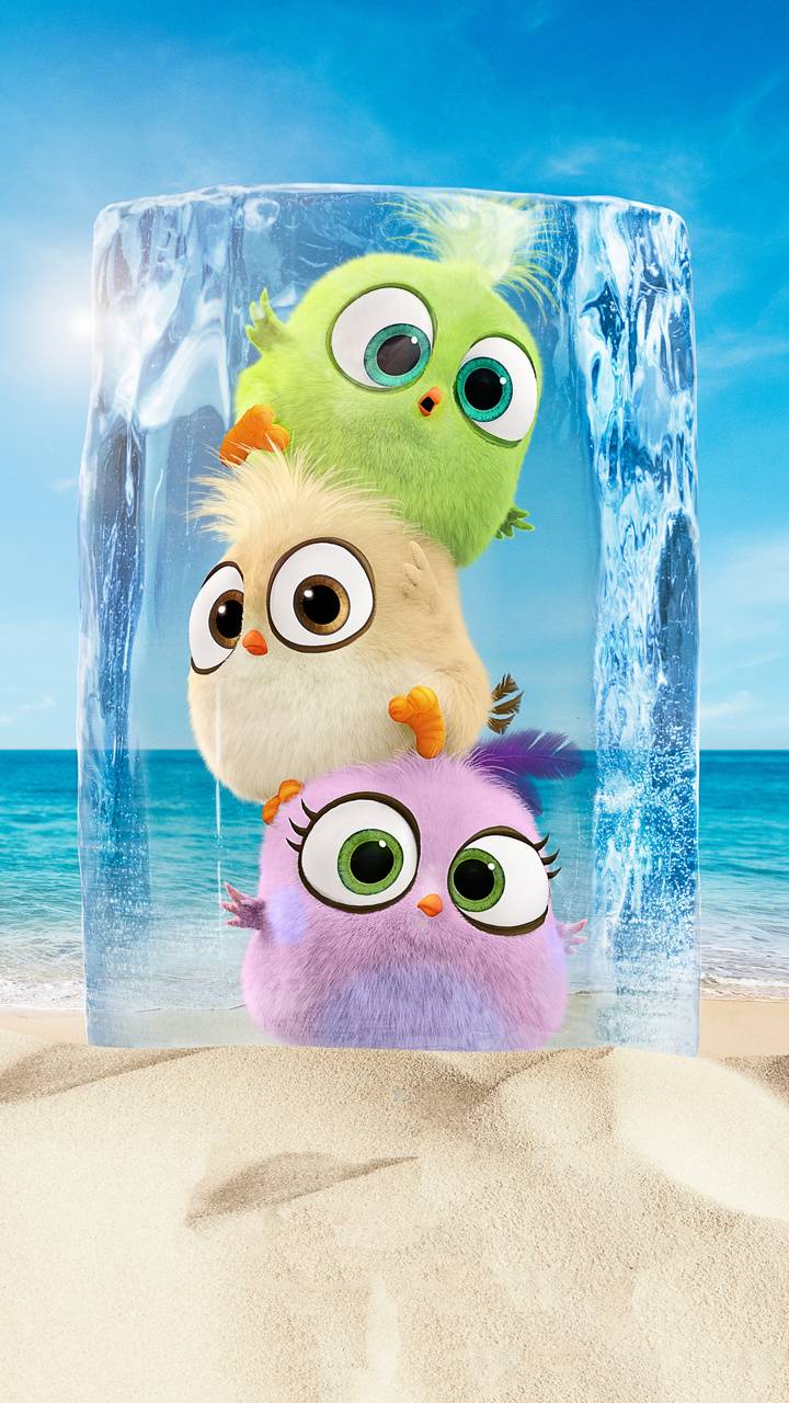 720x1280 Angry birds Wallpaper by ZEDGE™