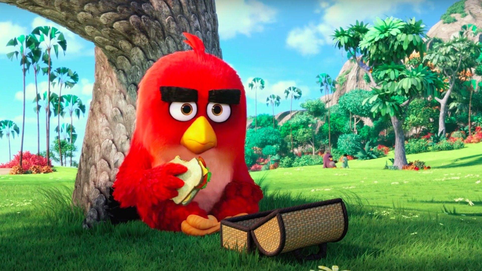 1920x1080 Angry Birds Wallpaper Android Wallpaper Angry Birds