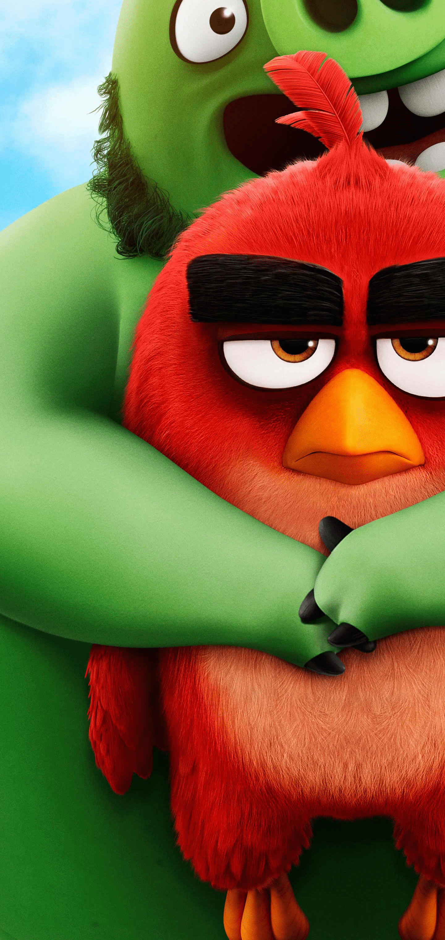 1440x3040 Angry Birds 2 wallpaper (cutout version)