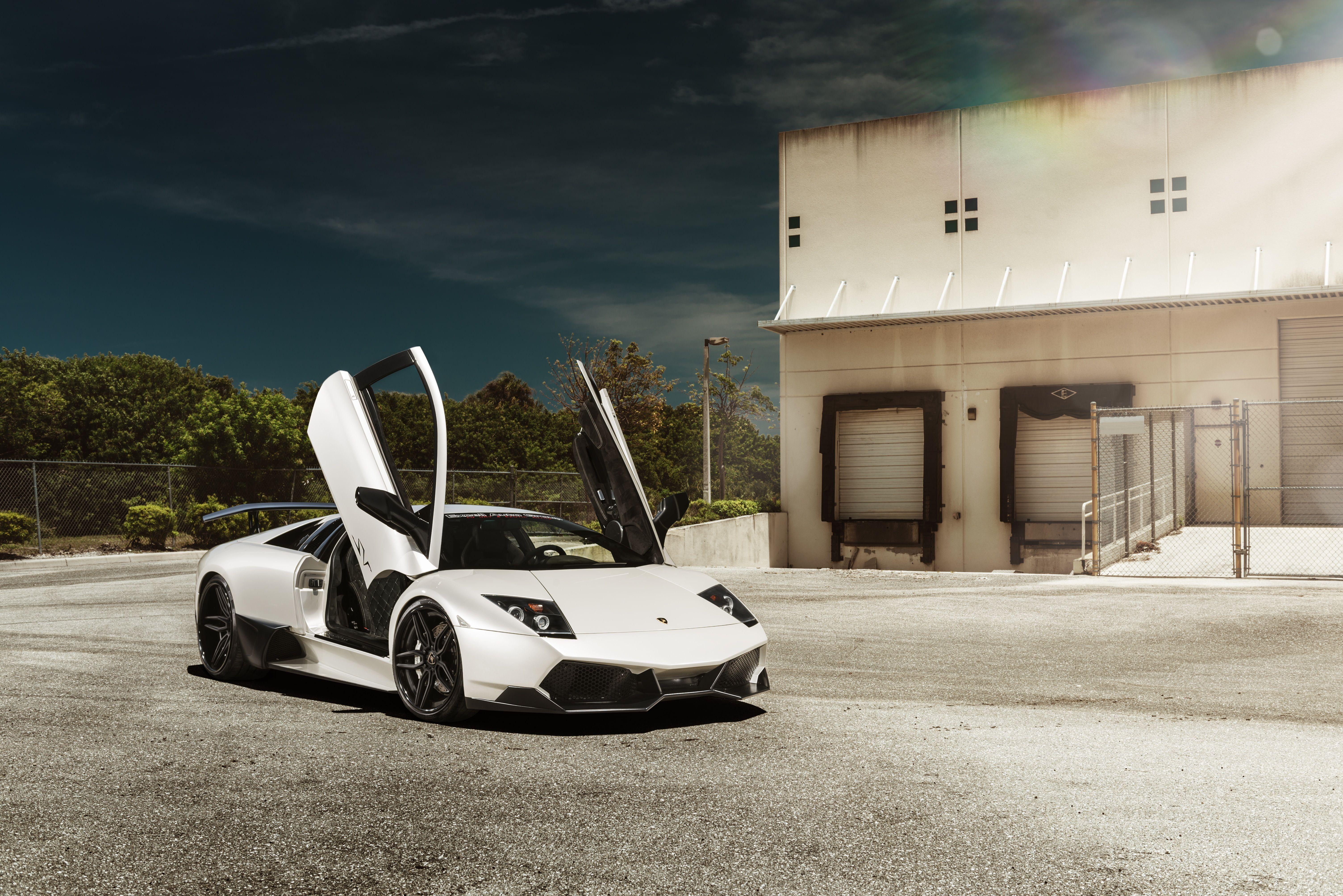 6016x4016 Lamborghini Murcielago Wallpaper HD
