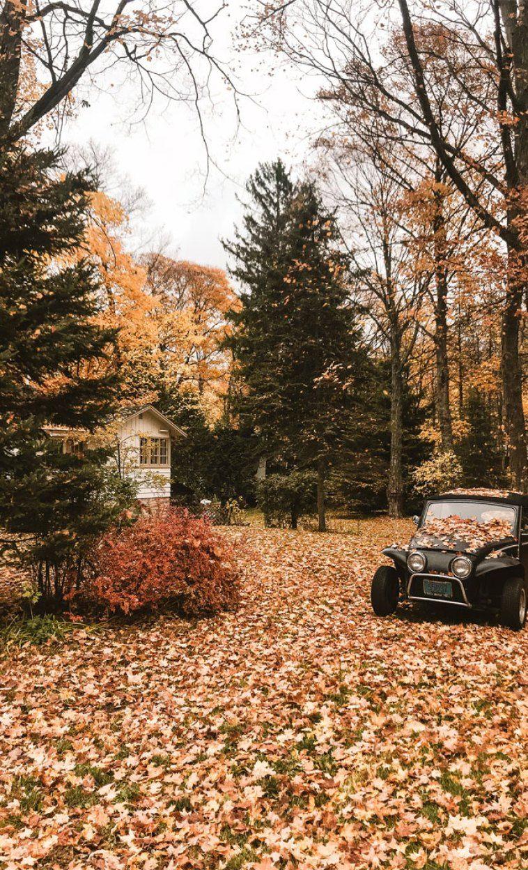 758x1248 Home sweet home dream house with fall leaves Wallpaper