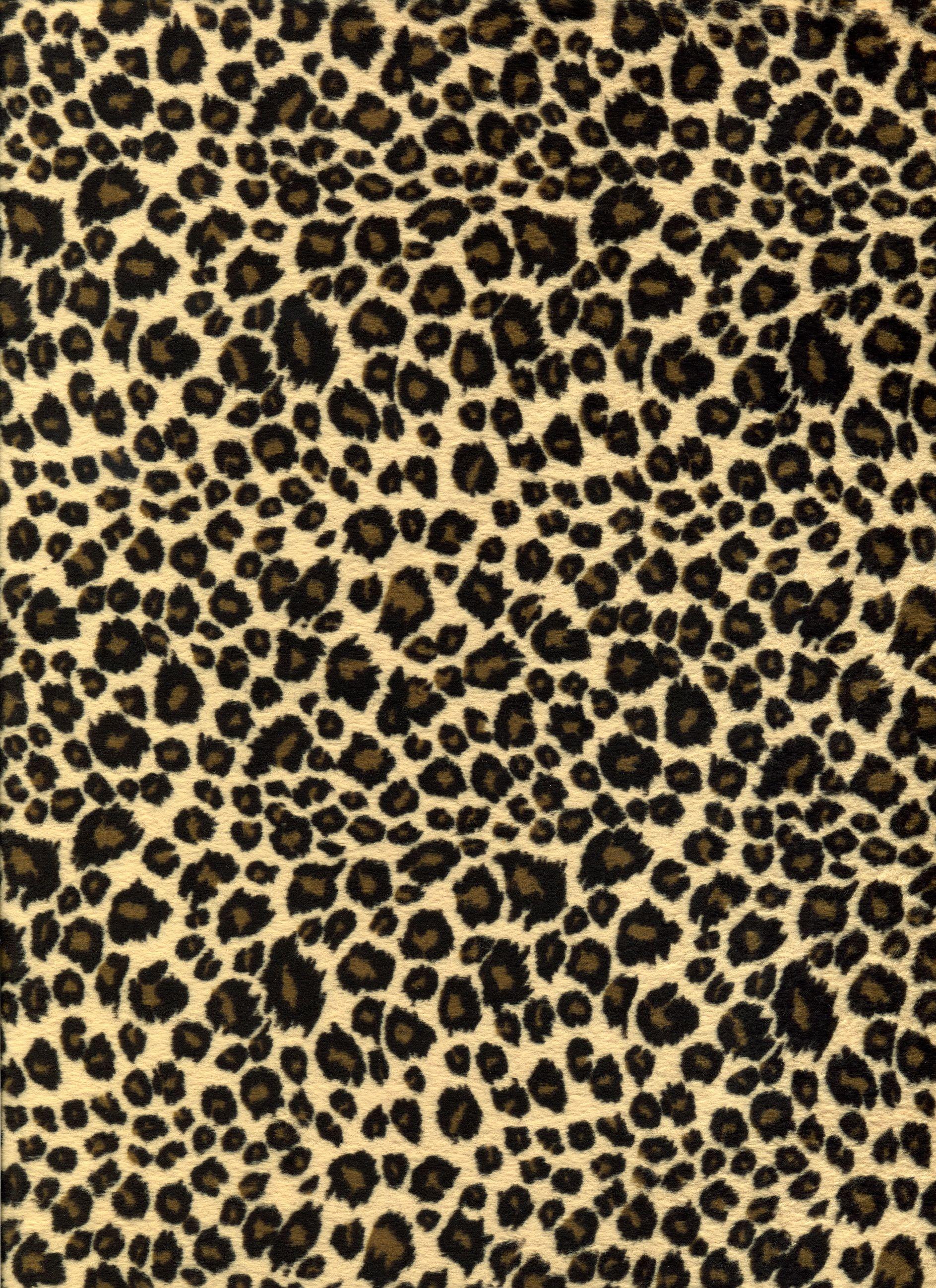 1887x2597 Animal Print Wallpaper