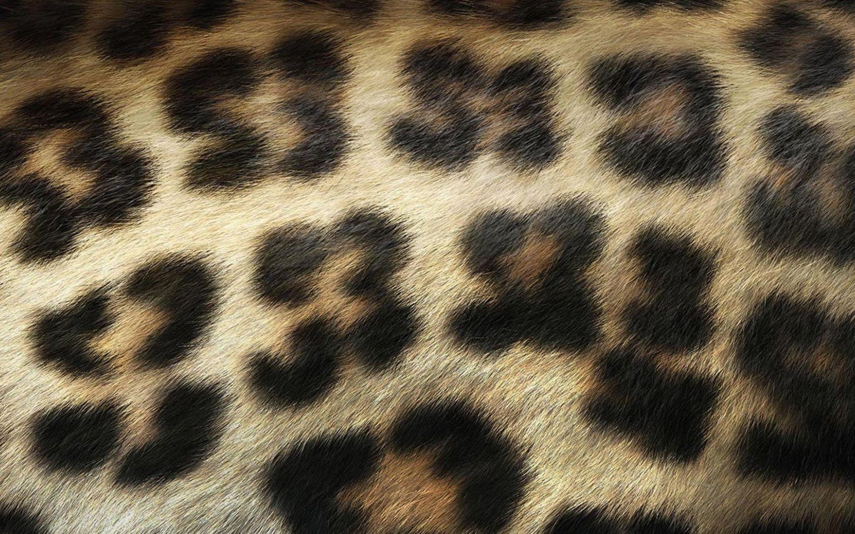 1680x1050 Leopard Print Wallpaper